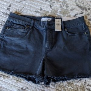 LOFT NWT Cut Off Dark Blue Shorts